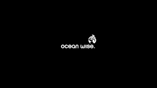 communications-toolkit-ocean-wise-branding.gif