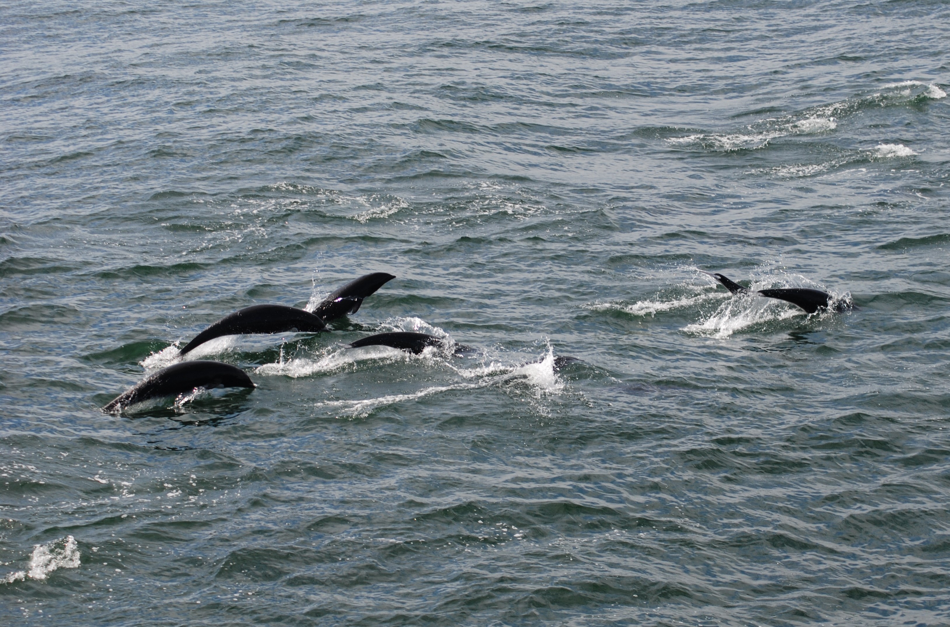 NRWD 02 Alana Phillips1.jpg