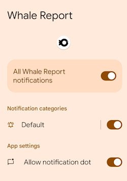 wras-allow-notifications-and-sound-andriod.webp